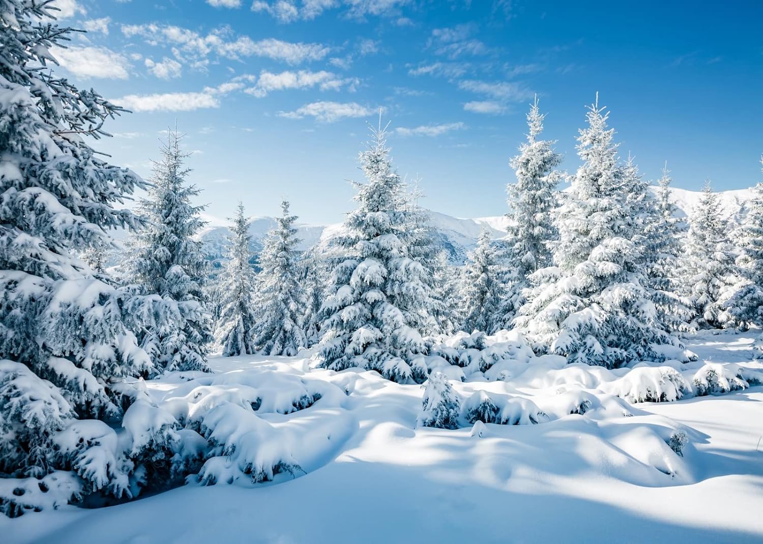 winter snow winter snow